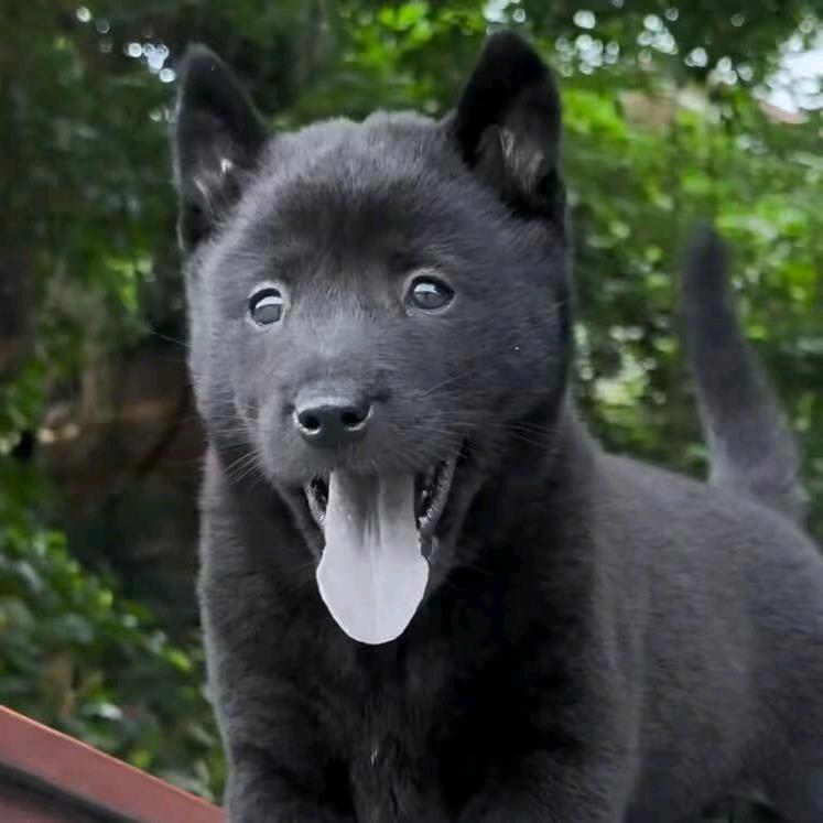 友成