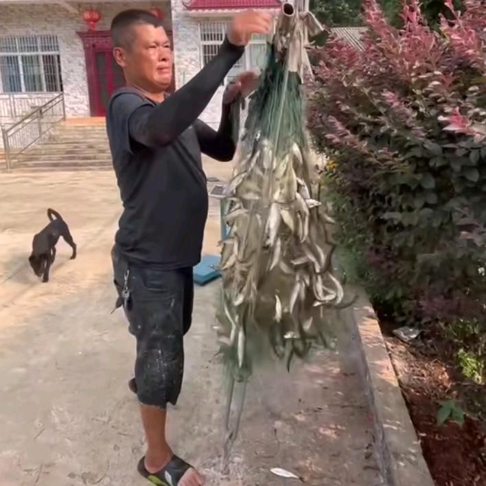 抓鱼人