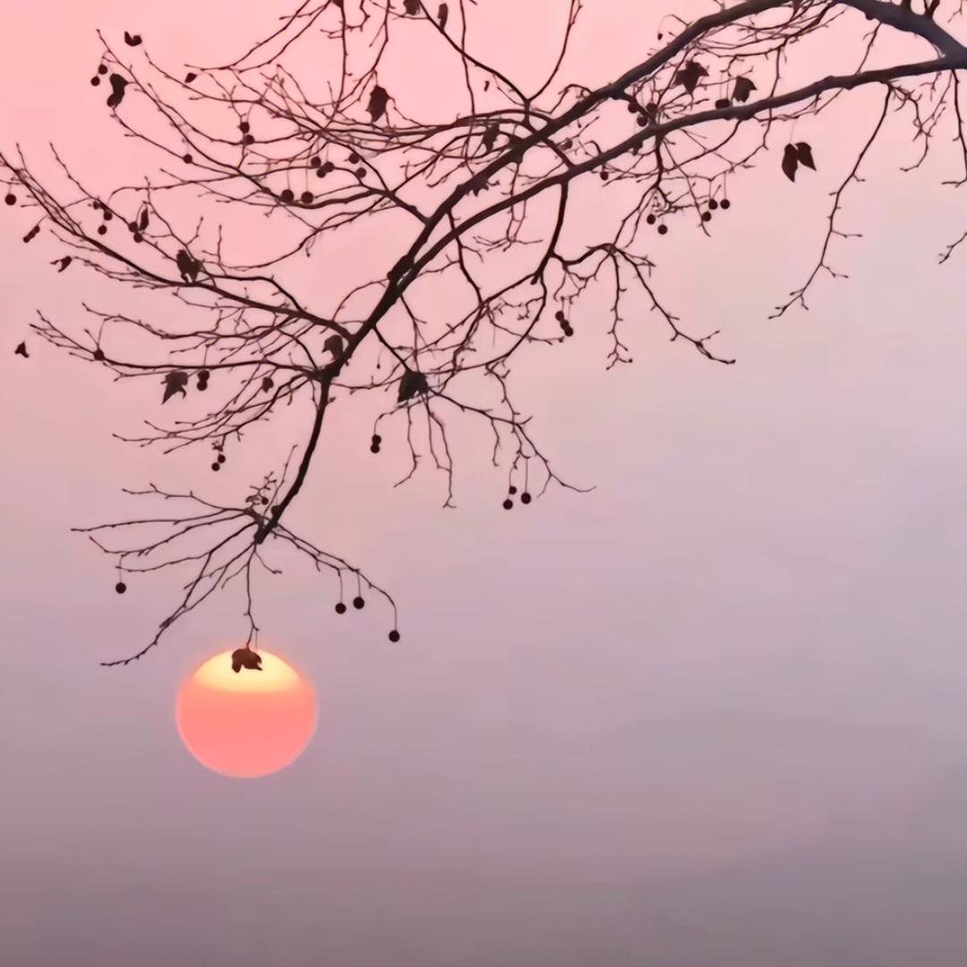 祥黎