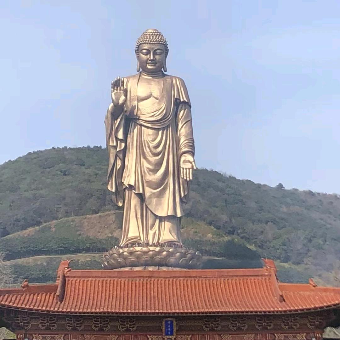 随缘优选