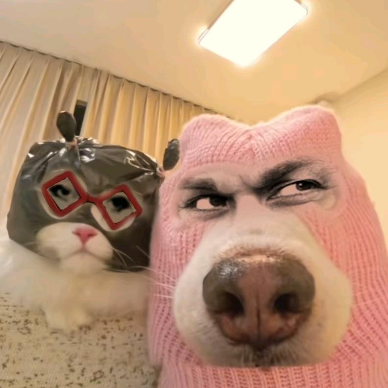 你姥爷裤衩有朵花🌺