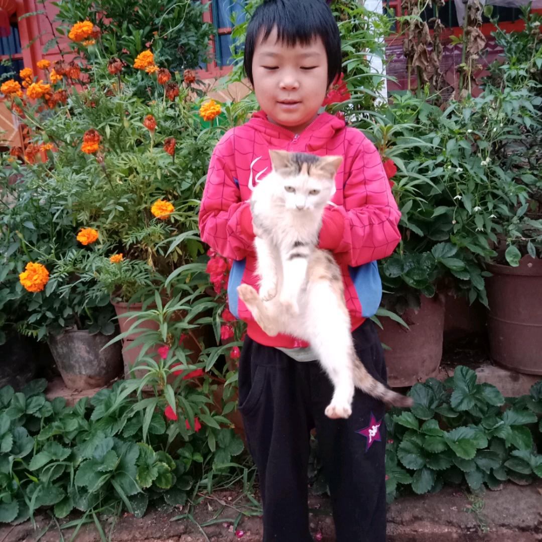 家和万事兴
