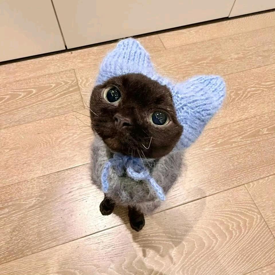 Jun.!