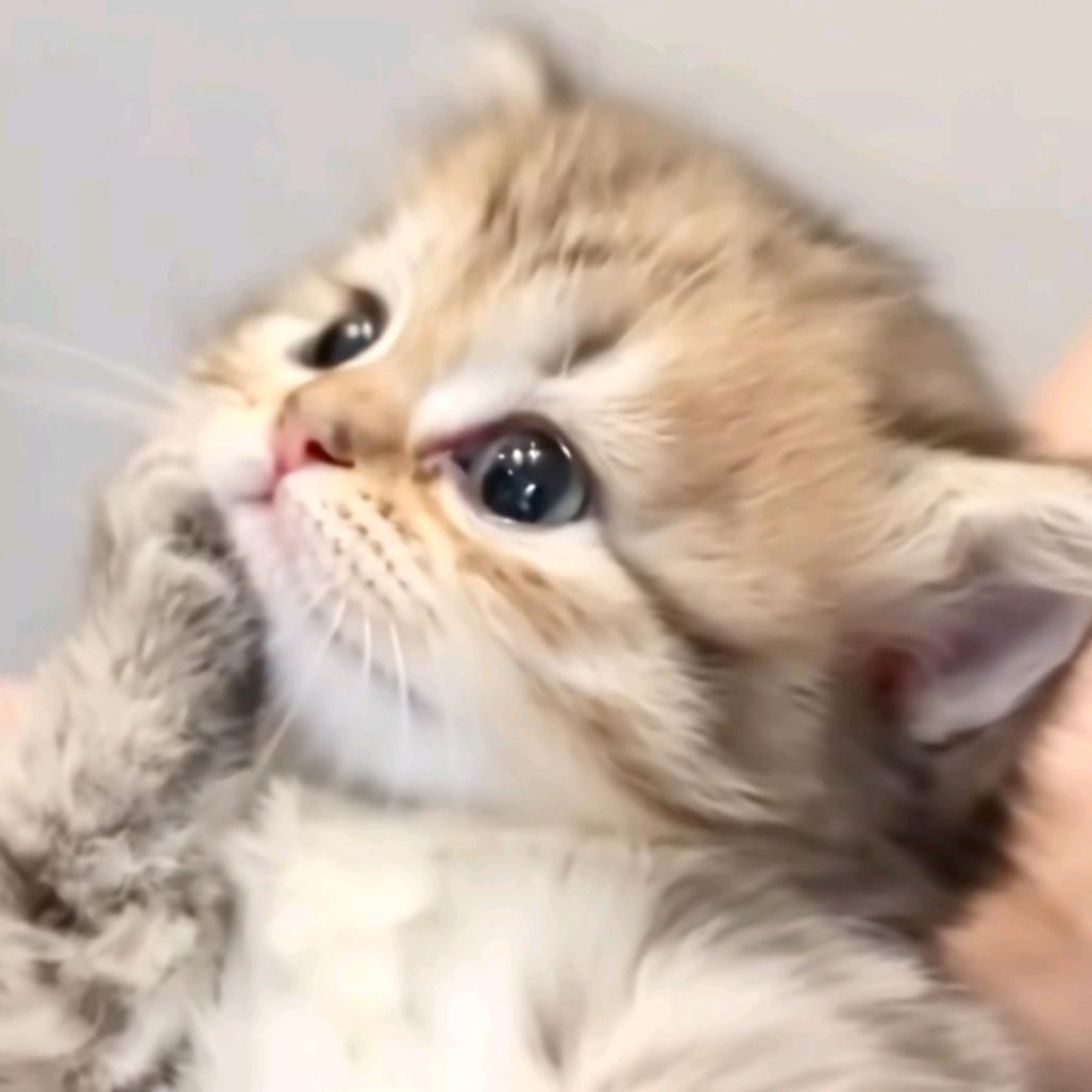 天气晴但刮大风