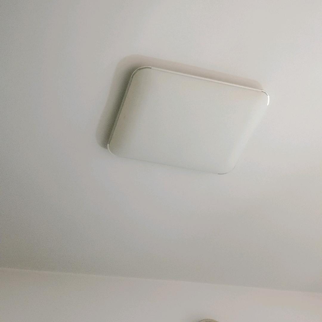 沫沫