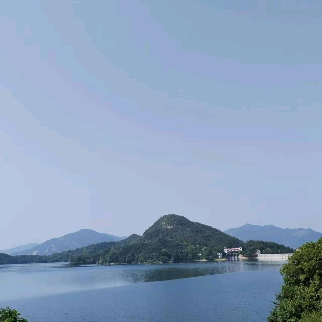 龙鑫粮贸