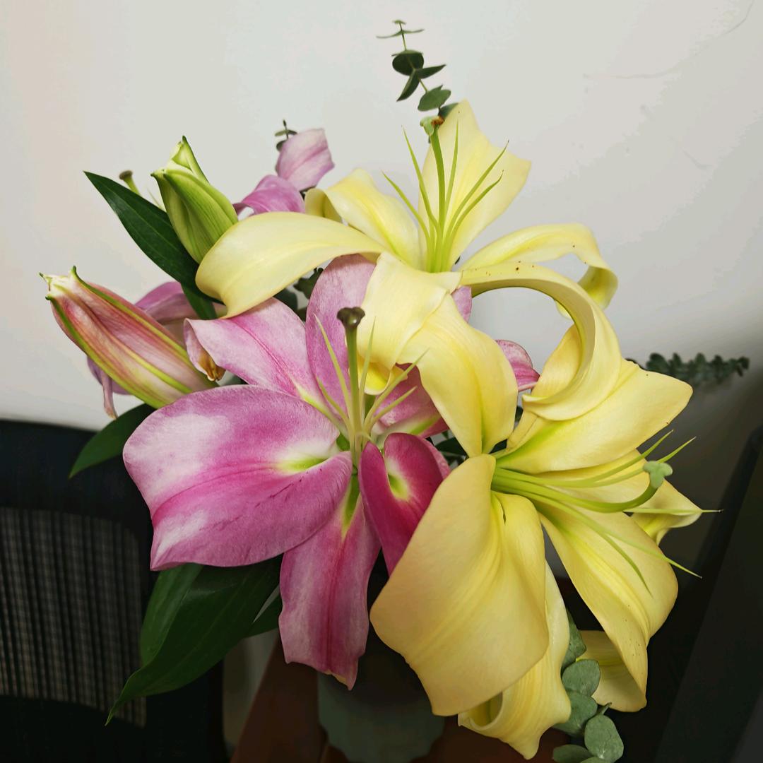 为民服务的罗院