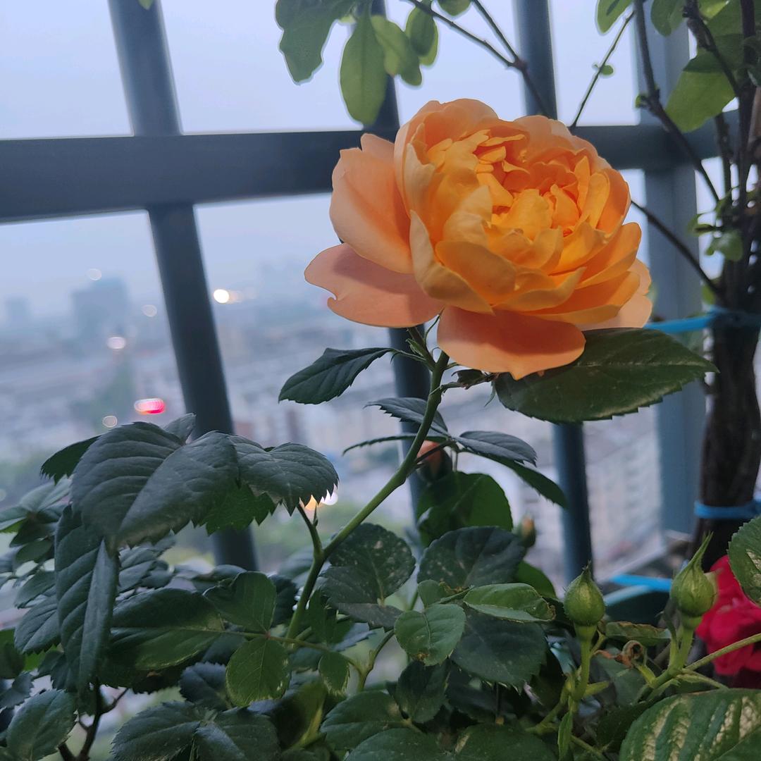 ℳঞ🍒ꦿ方࿐