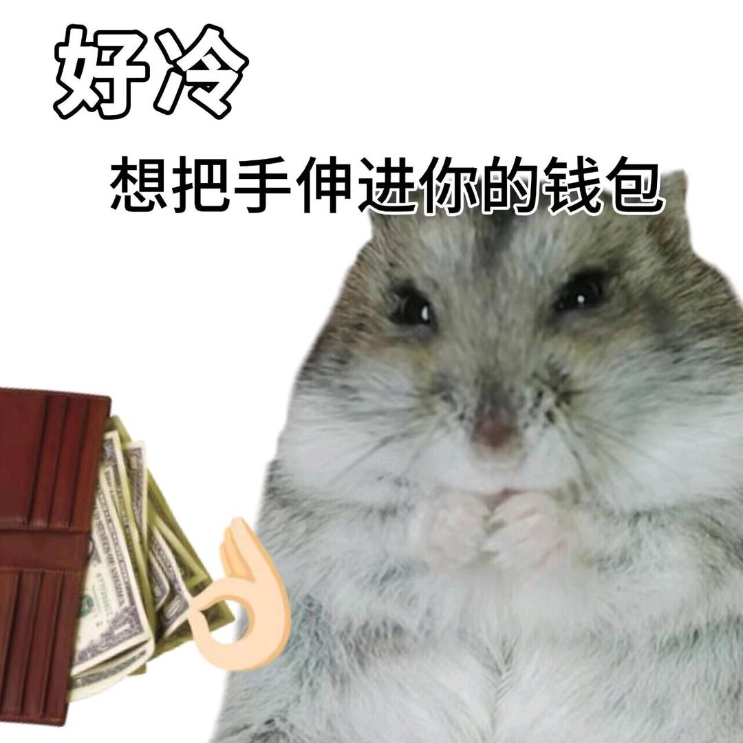 我头去哪里了