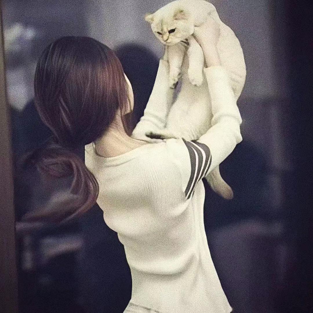 杨杨玉大码女装（泗县店）