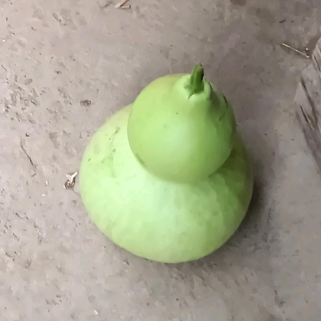 曌彧