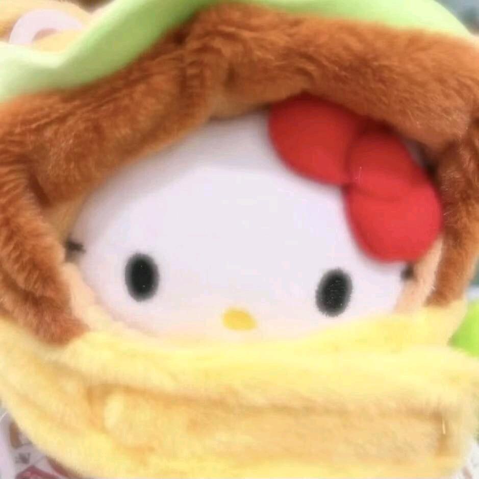 HelloKitty大王