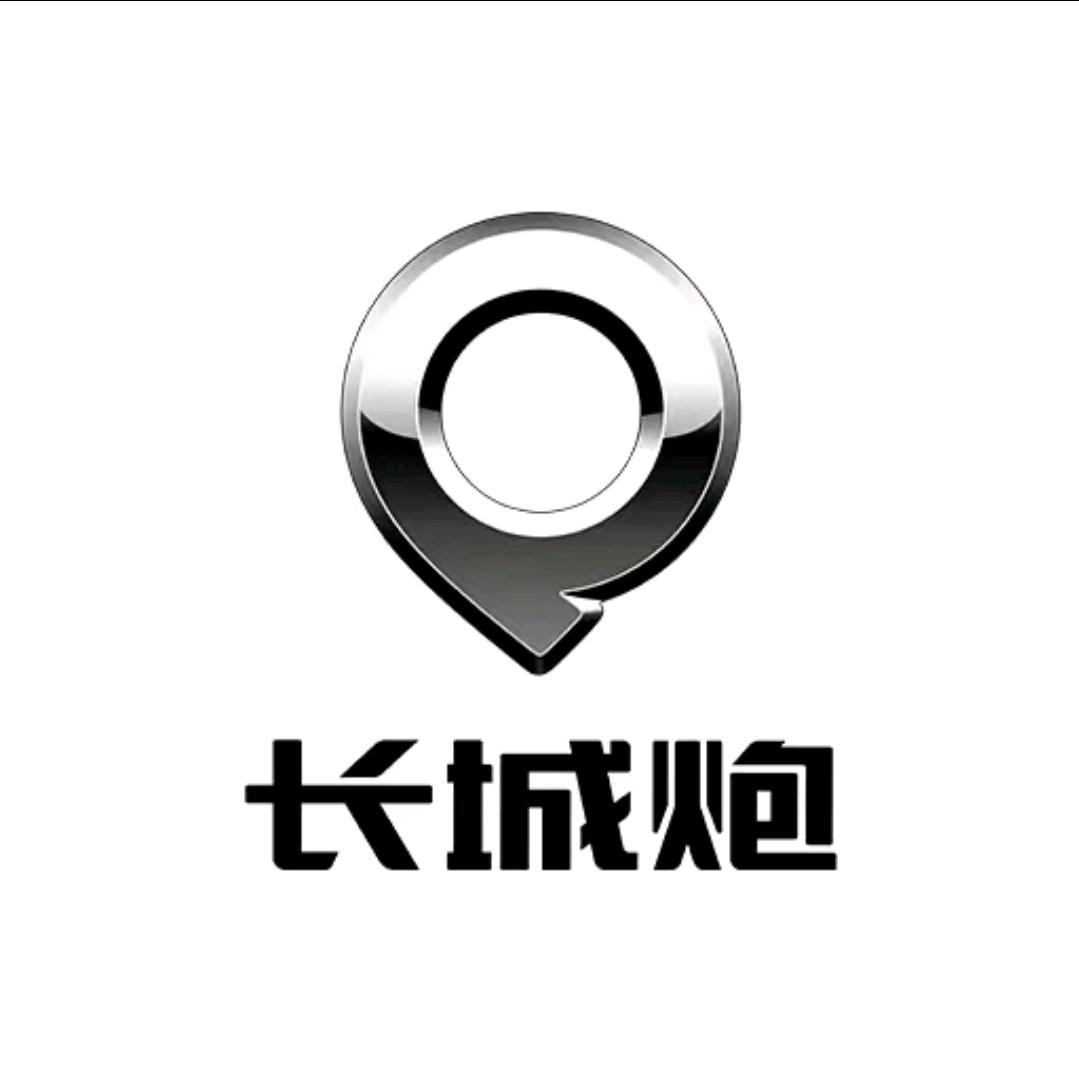 长城皮卡商洛总店