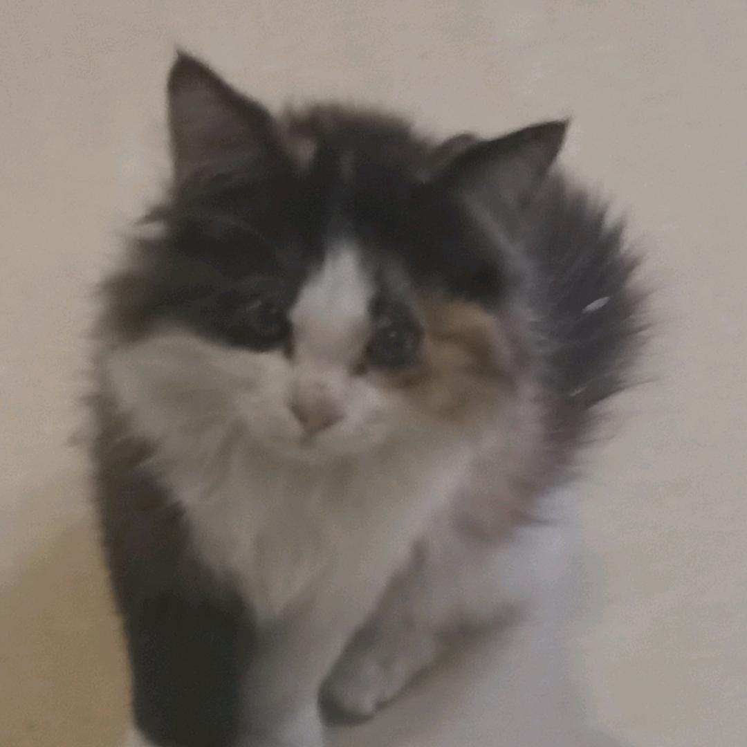 じゃいdjんdlkね