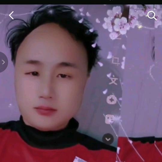 自由飞翔