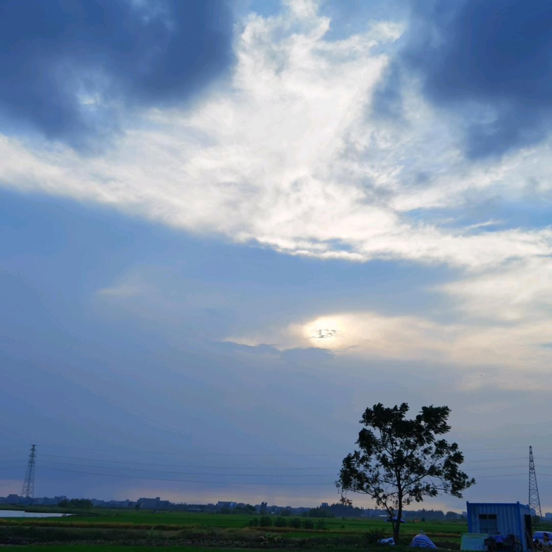 随风随雨