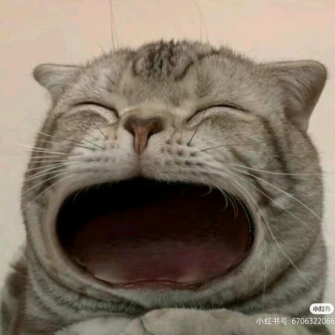 隐异