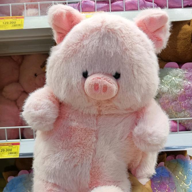 🇻🇳 T 🐷 N 🇨🇳
