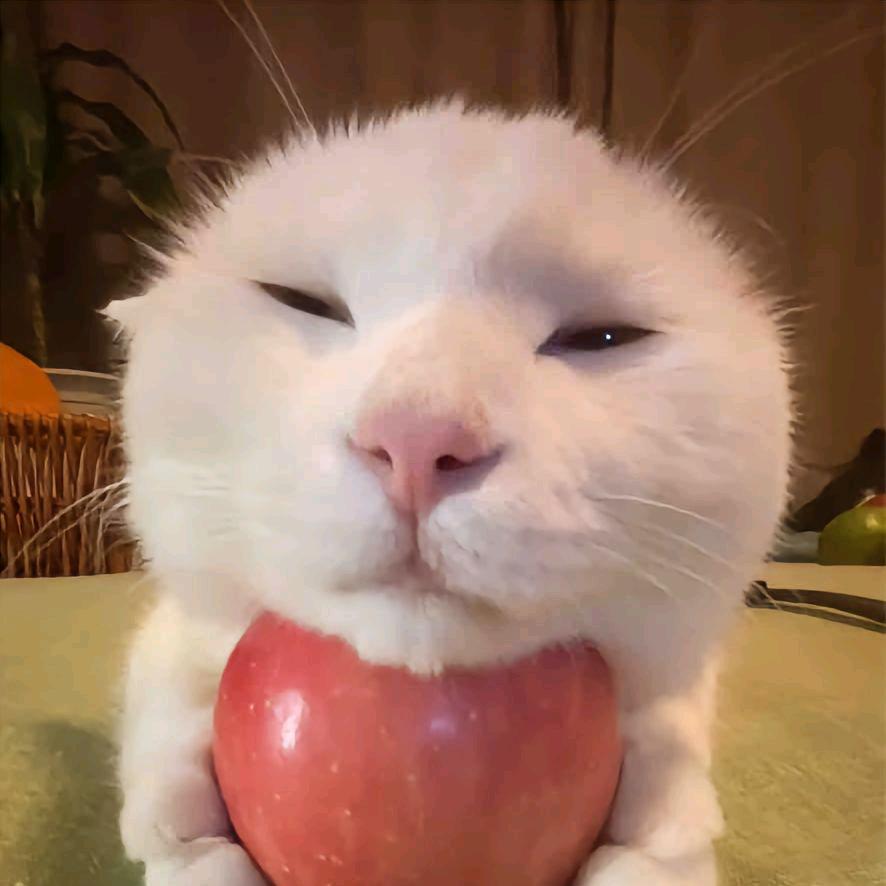 苹果猫猫酱