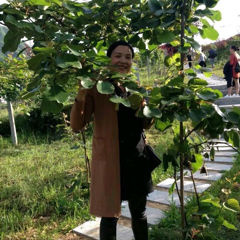 辉姐