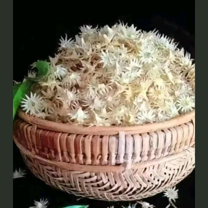 周晓丽