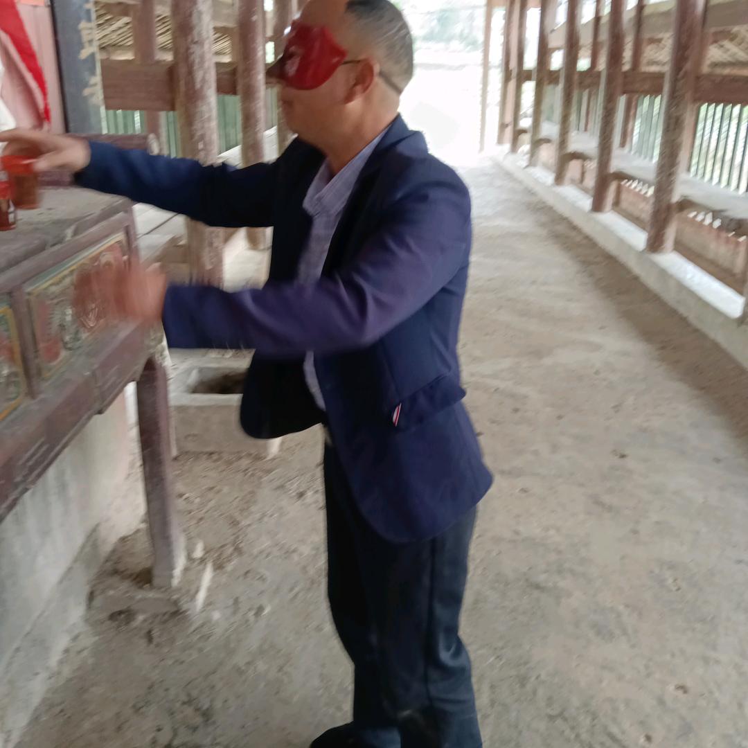 矮子古
