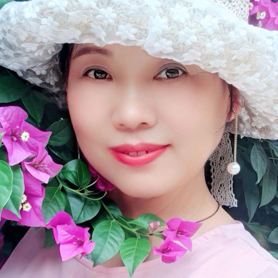 暖梦芳草