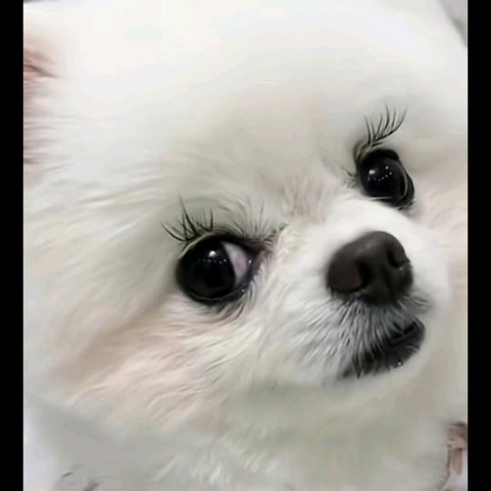 只想静静