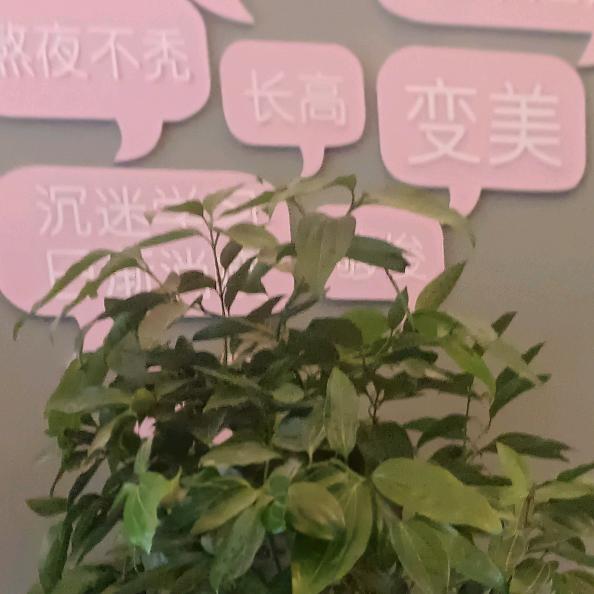此女 O(∩_∩)O