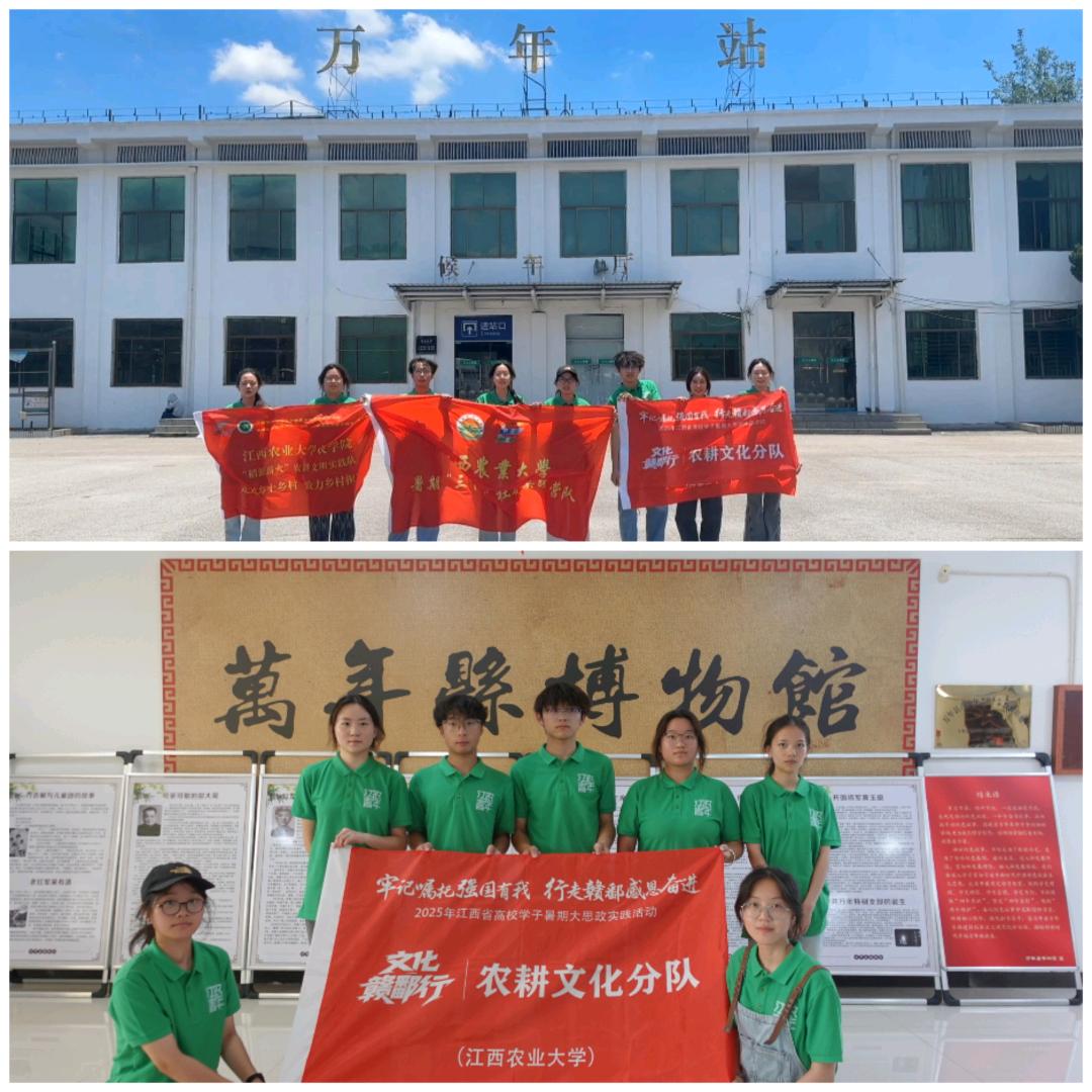 “稻源薪火”农耕文明实践队