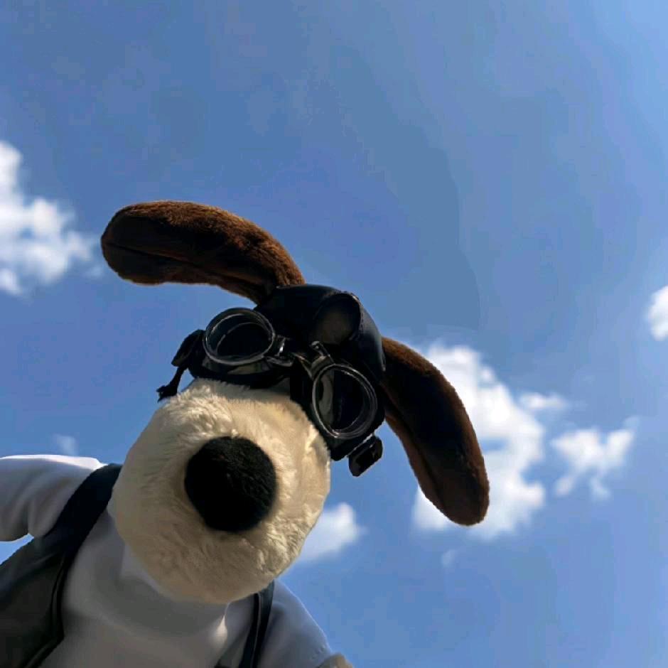 李洋洋（三角洲行动）