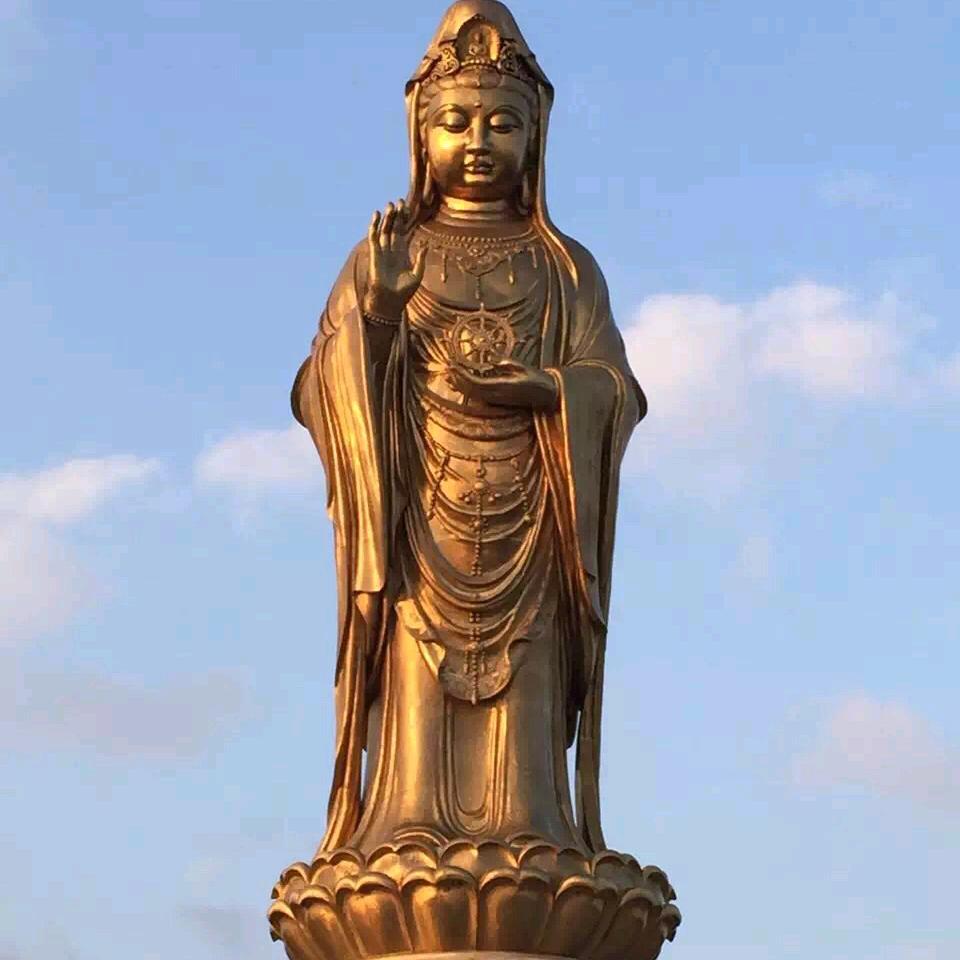 啊滨走透透（水产）