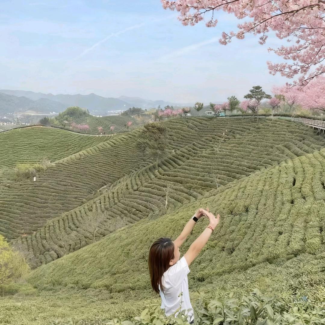 强盛达地毯创意屋