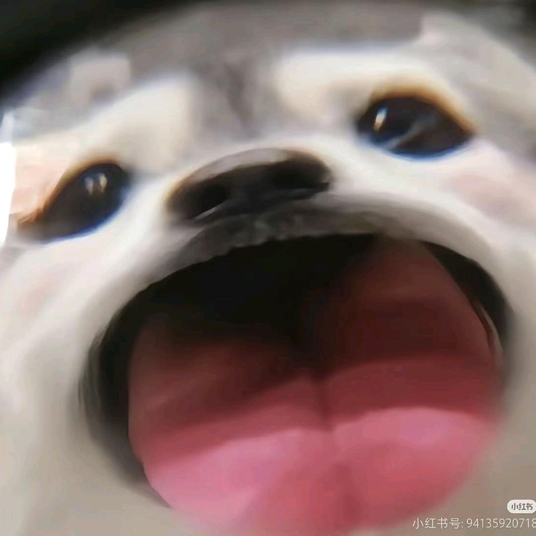 粪的屎
