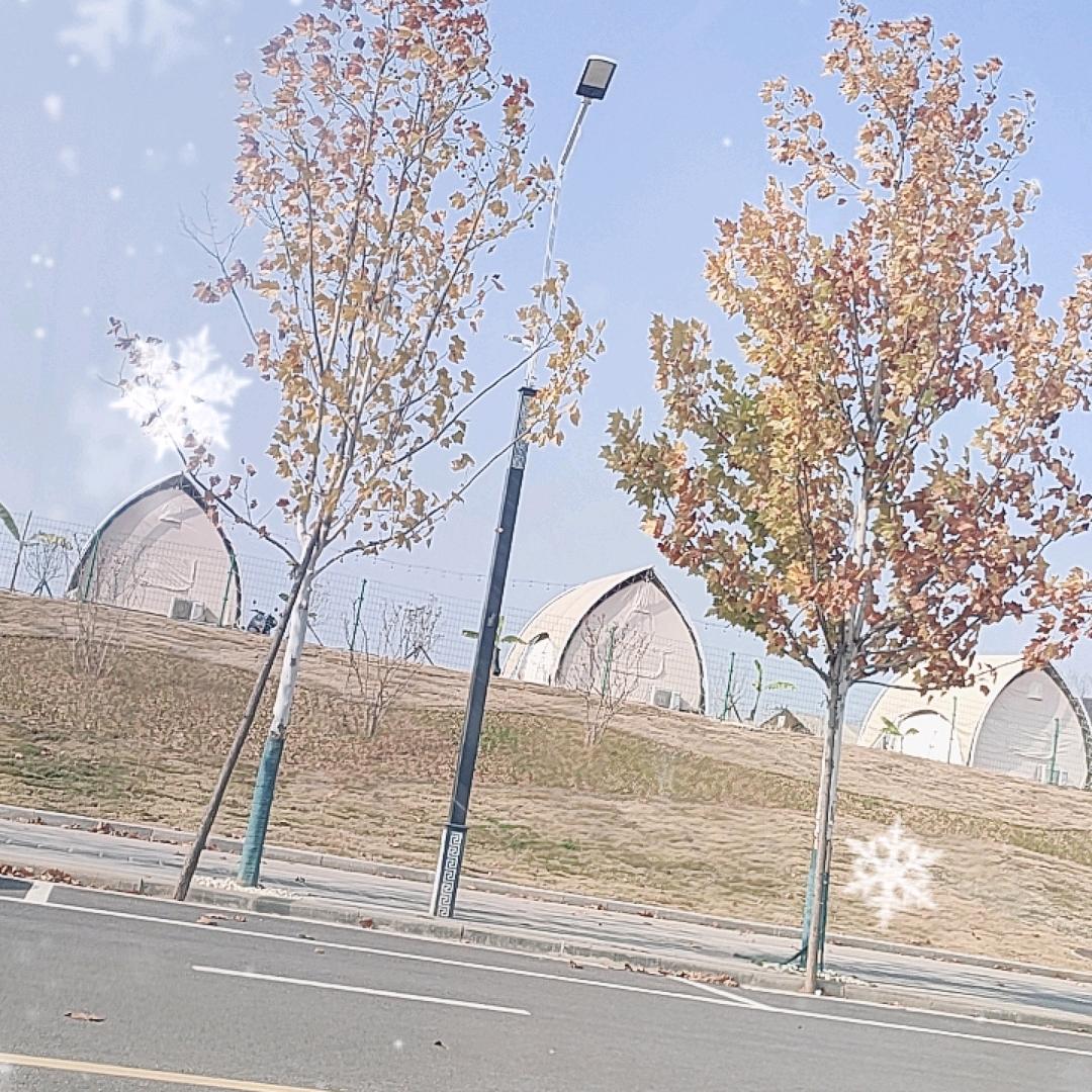 秦川