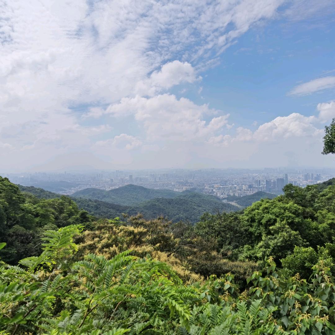 金山