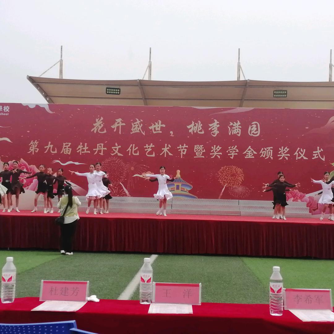 桑桑
