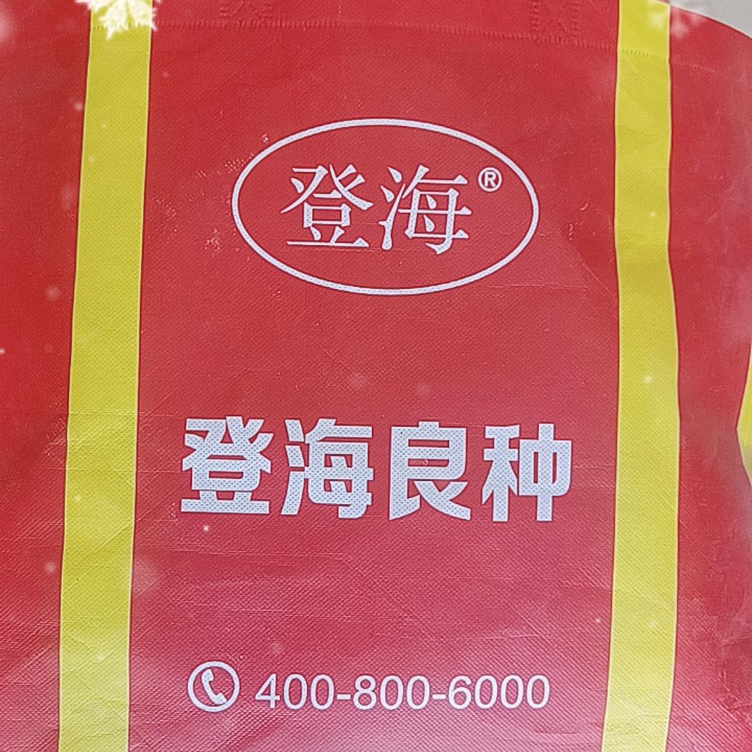 莒县硕丰种业-张传友