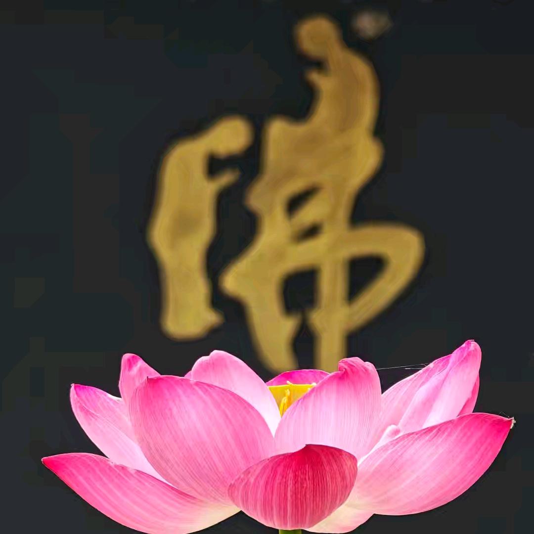 沉默