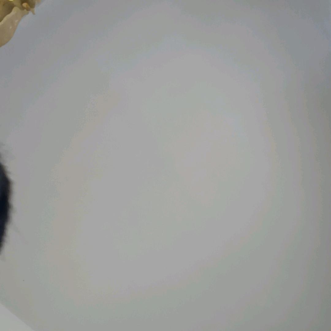 李头像