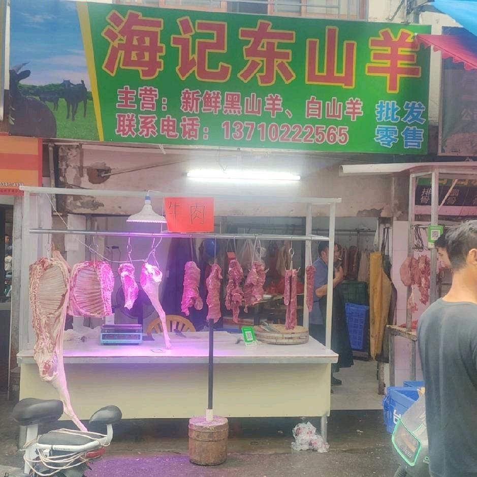 放养黑山羊批发零售