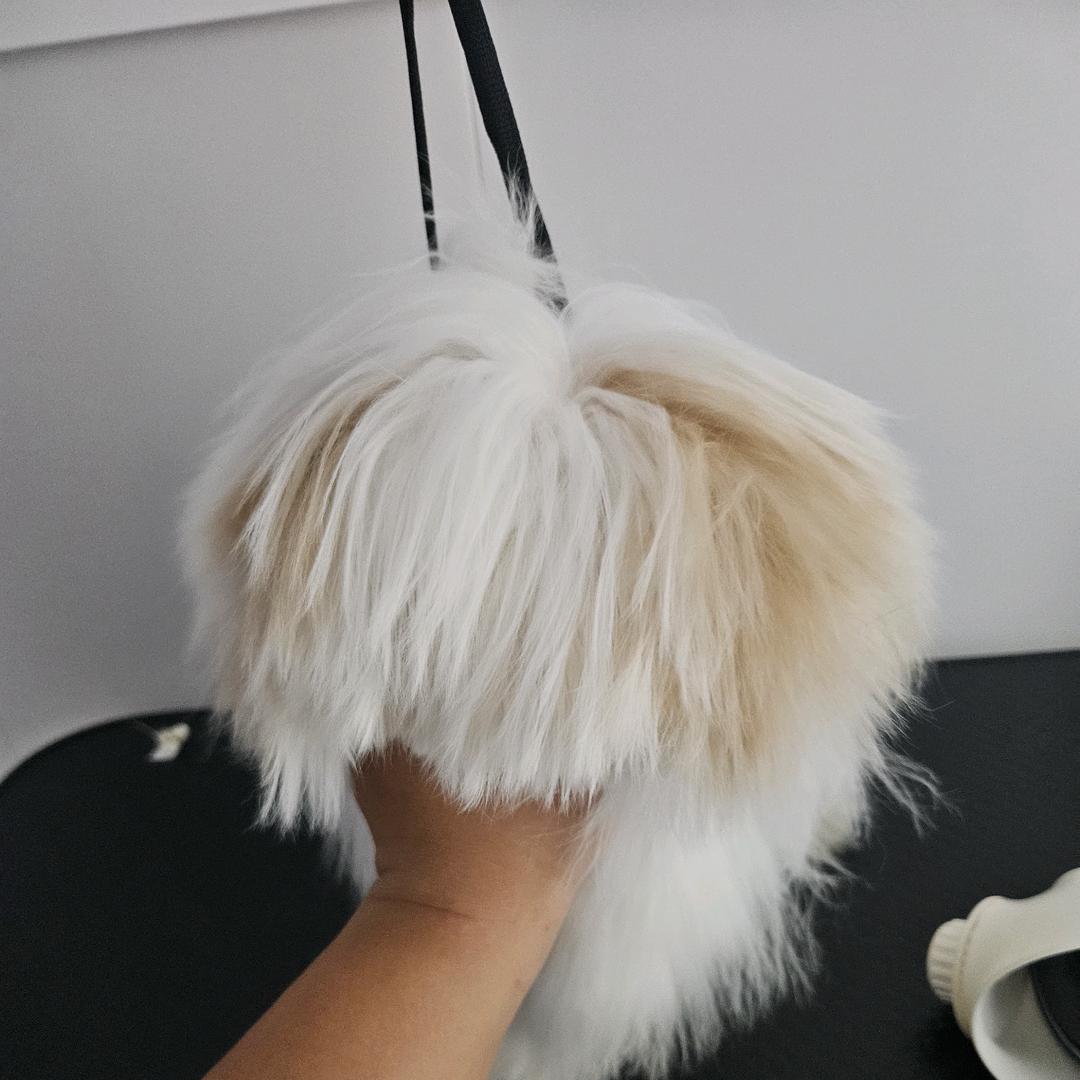 大猫家的狗