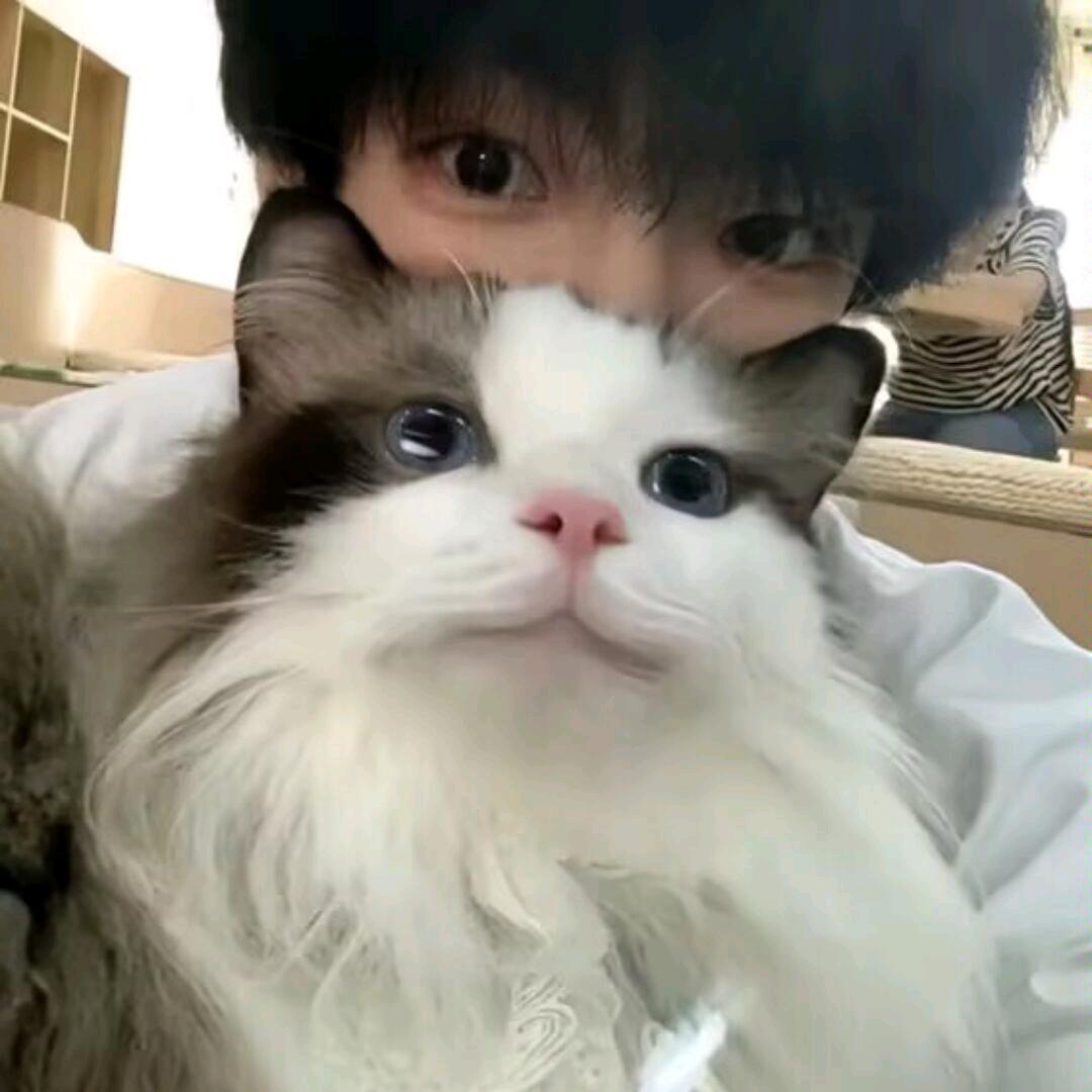 白银头像