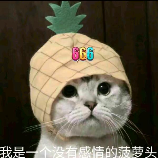 小吴追剧