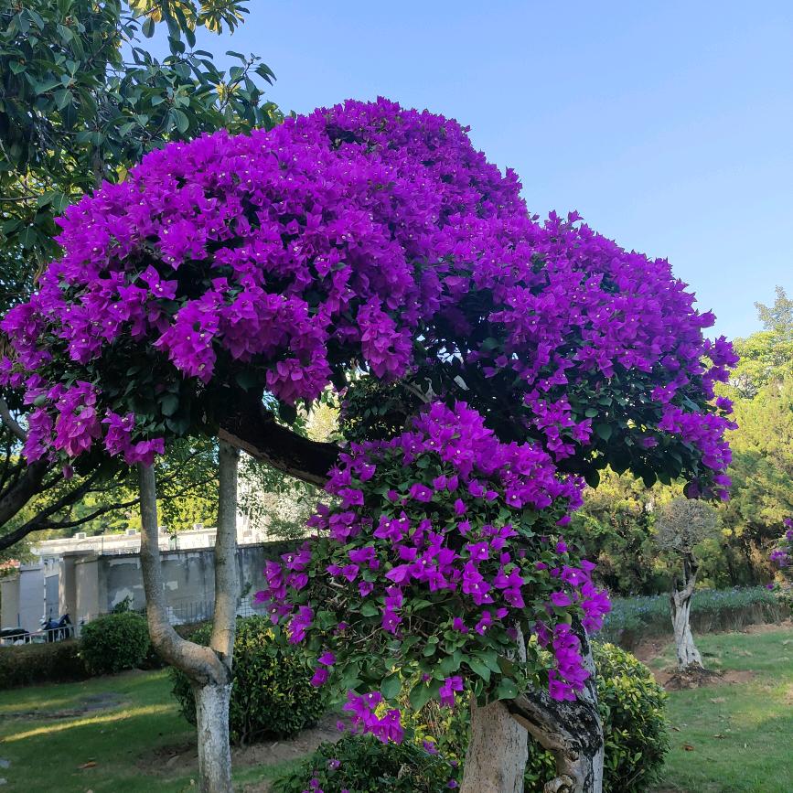 湖南💘💘💞湘西