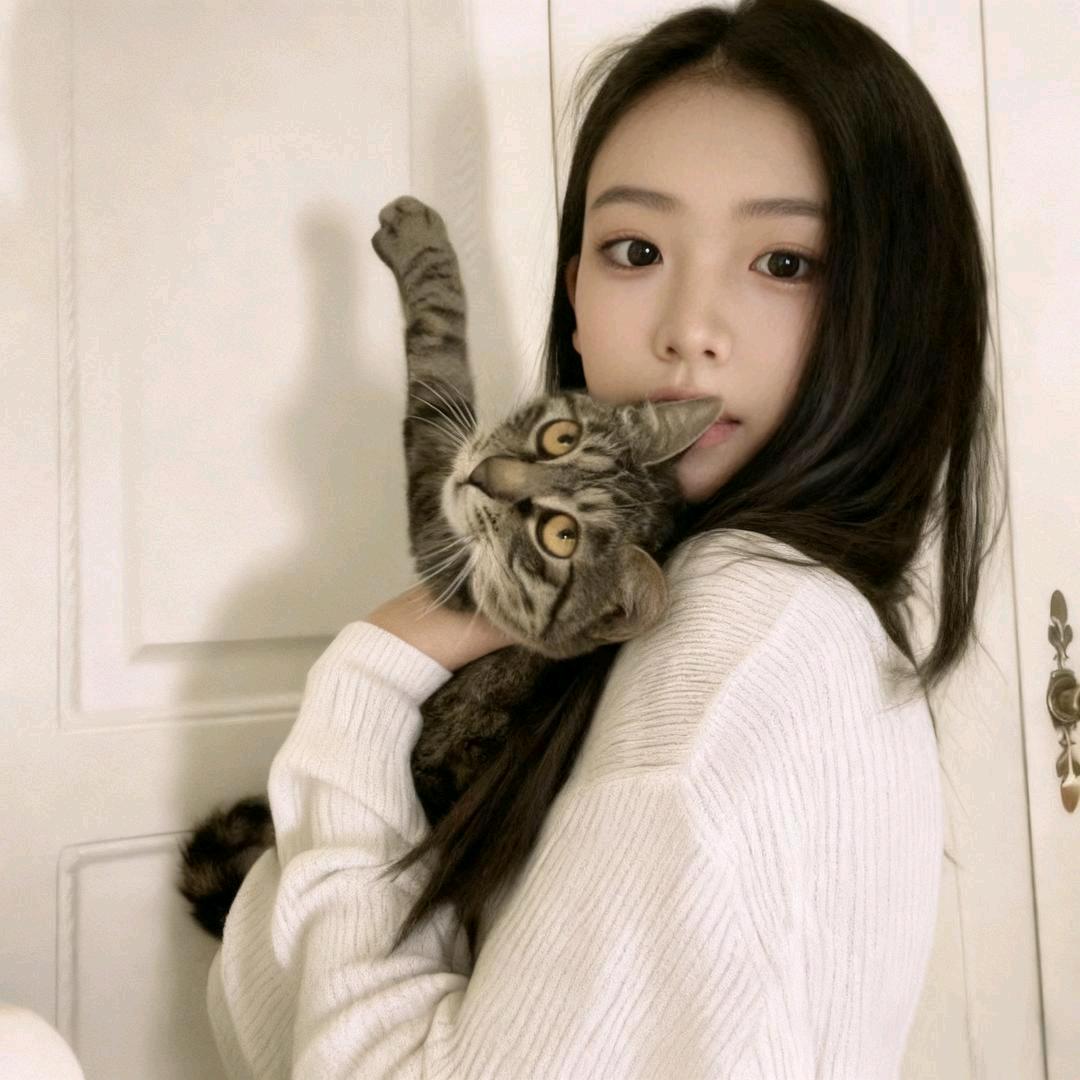趁乱捡星星