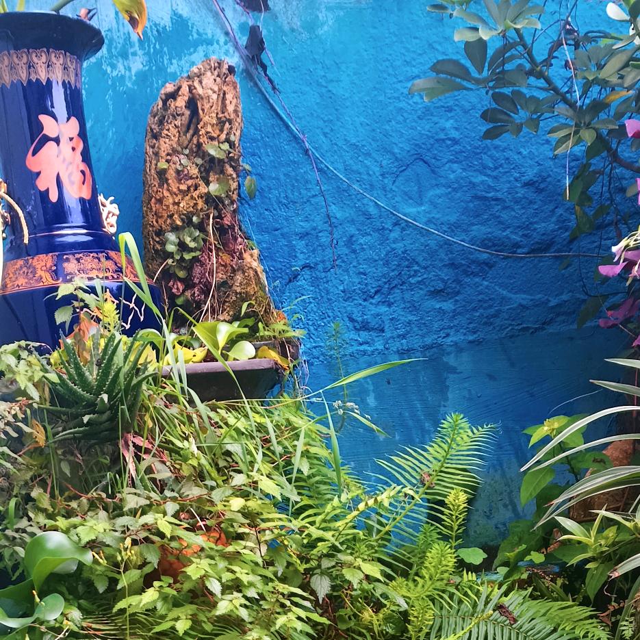 ㊎🐂㊍🐂㊌🐂㊋🐂㊏🐂