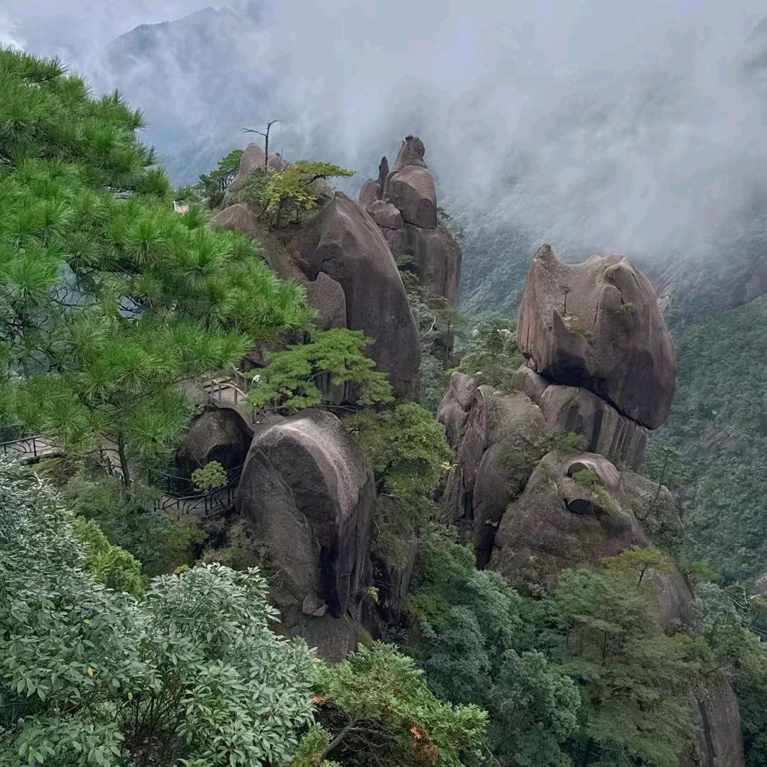 小天优选
