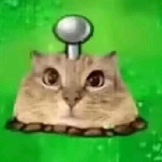 🫧 .