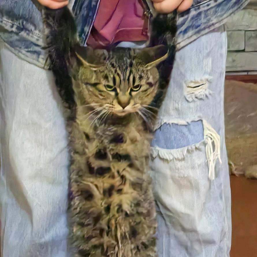 忆起玩吧